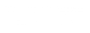 Logo Tankreiniging De Groodt Footer